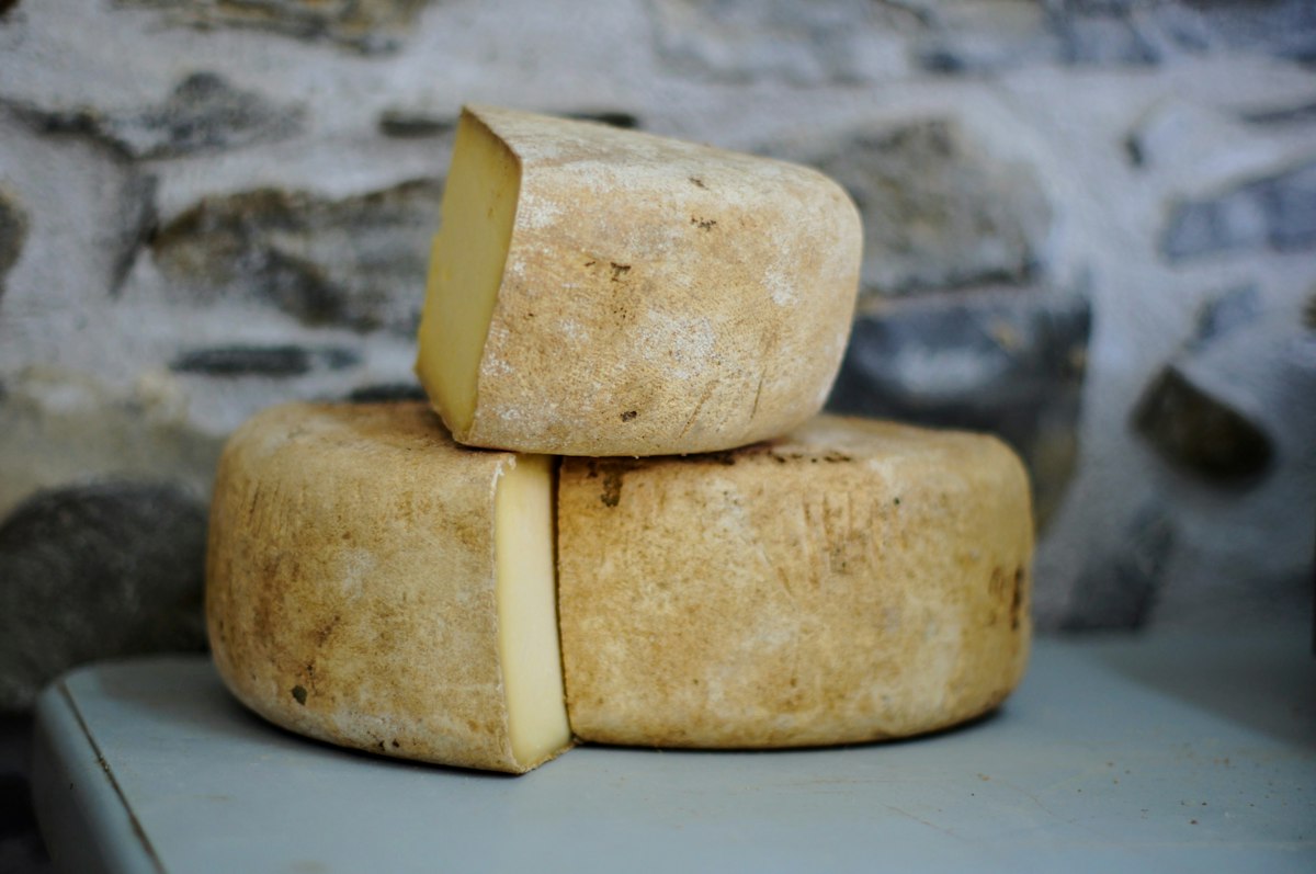 Artisan goat cheese board